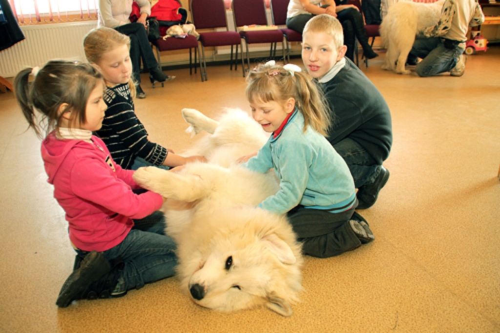 Aura ir sešus mēnešus veca kucīte, kura ātri iemanto bērnu mīlestību. 