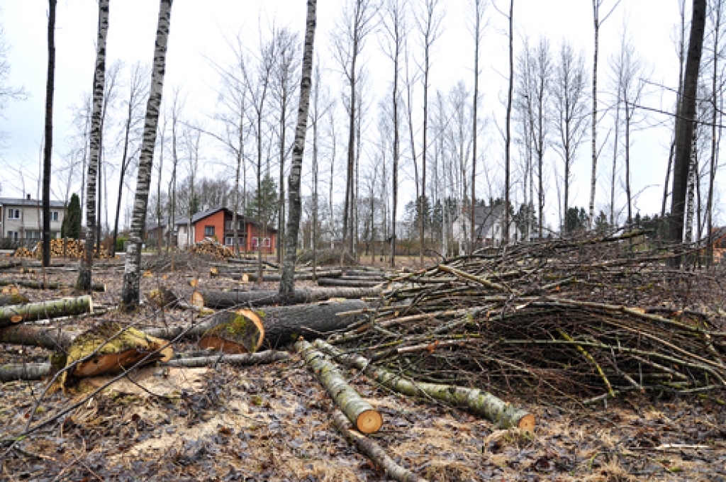 Lai arī strādāt Lielās talkas dienā topošajā parkā neļāva lietus, plānots to  darbi tuvākajai nākotnei.
Autors: Žanna Zālīte