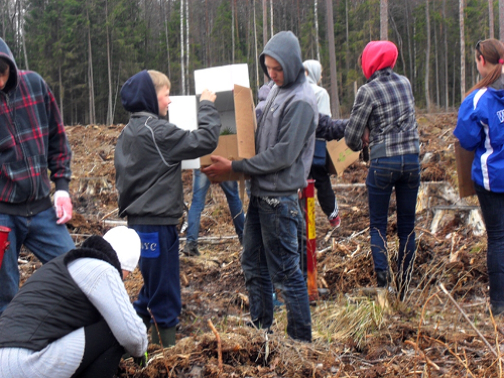 Dzimtmisas skolas vecāko klašu audzēkņiem meža stādīšana pavasarī  ir tradīcija.
Autors: no skolas arhīva