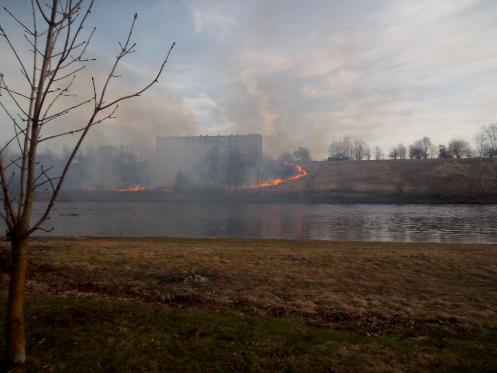 Autors: Sandra Danosa