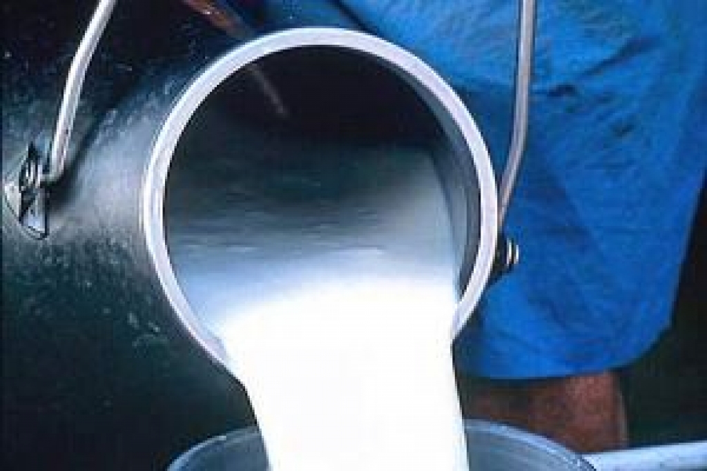 Autors: no «Bauskas Dzīves» arhīva.