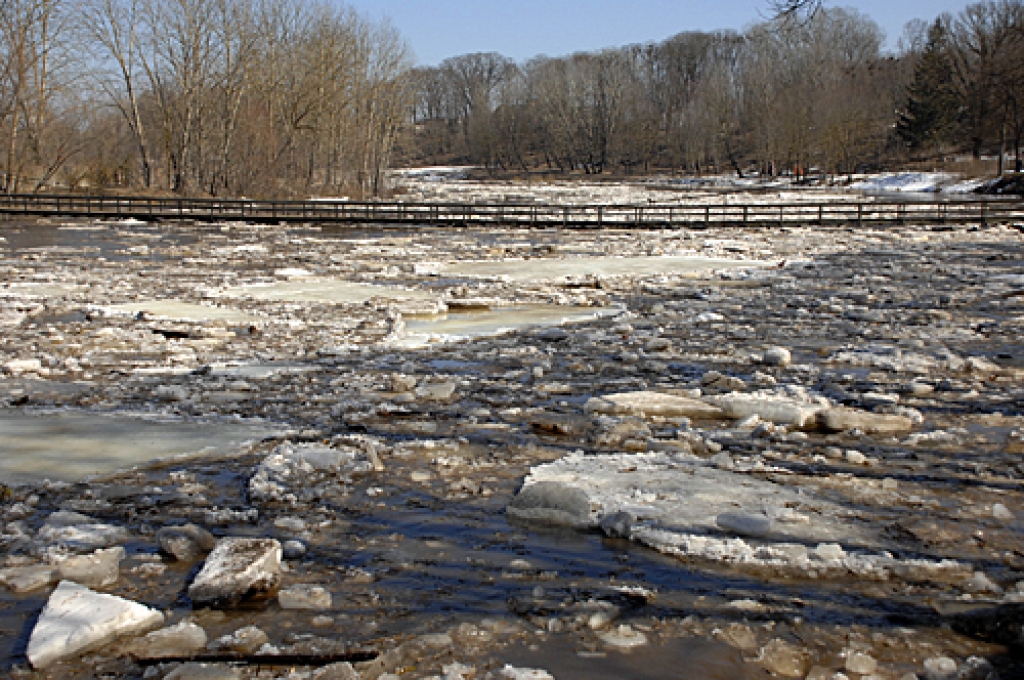 Autors: Ivars Bogdanovs