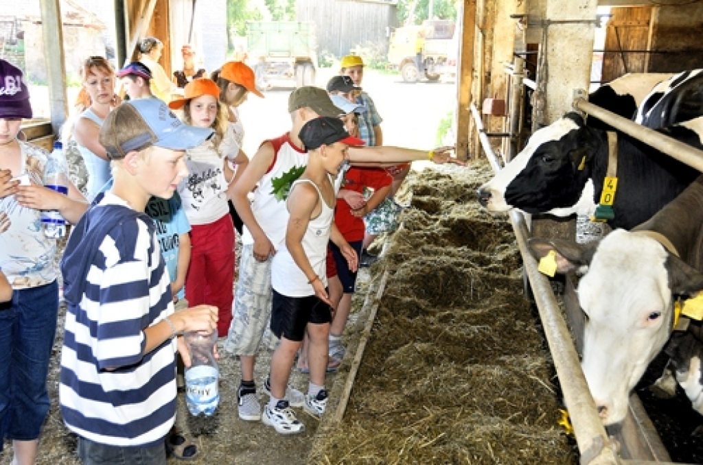 Autors: No «Bauskas Dzīves» arhīva.