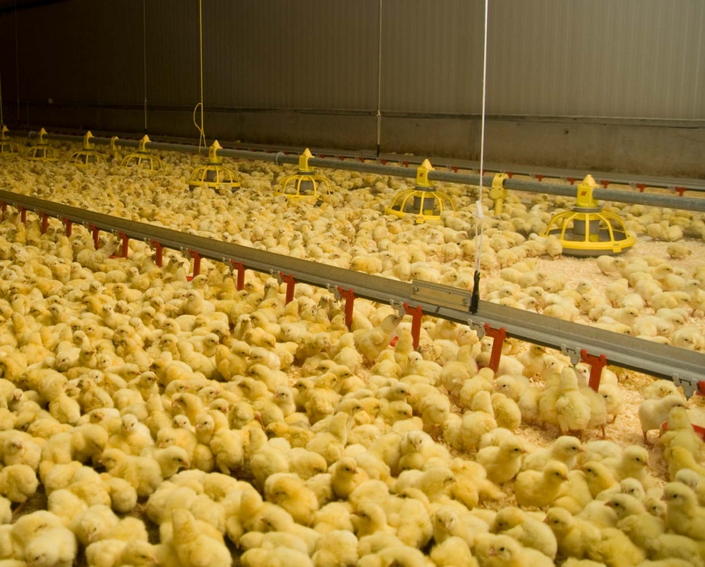 Fotoattēlam ilustratīva nozīme.
Autors: wt.lv