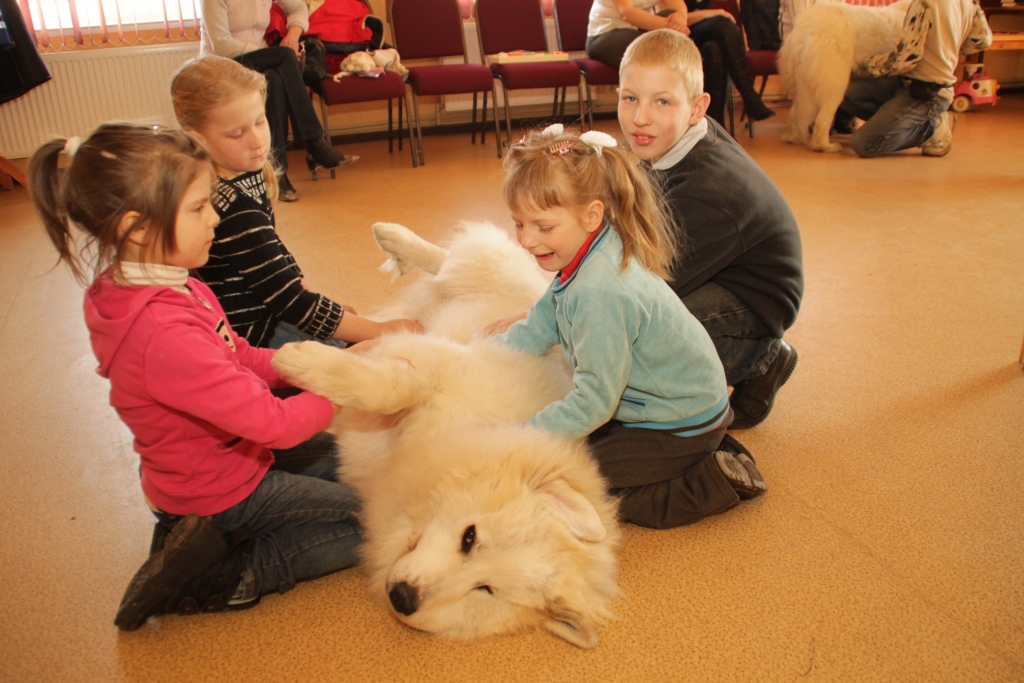 Aura ir sešus mēnešus veca kucīte, kura ātri iemanto bērnu mīlestību. 
Autors: Uldis Varnevičs