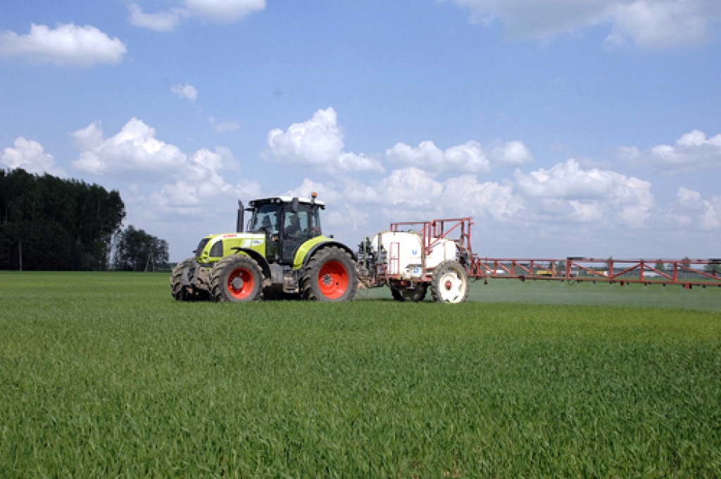 SIA «Ceraukstīte» laukos pret slimībām un nezālēm intensīvi miglo sējumus.
Autors: Ivars Bogdanovs