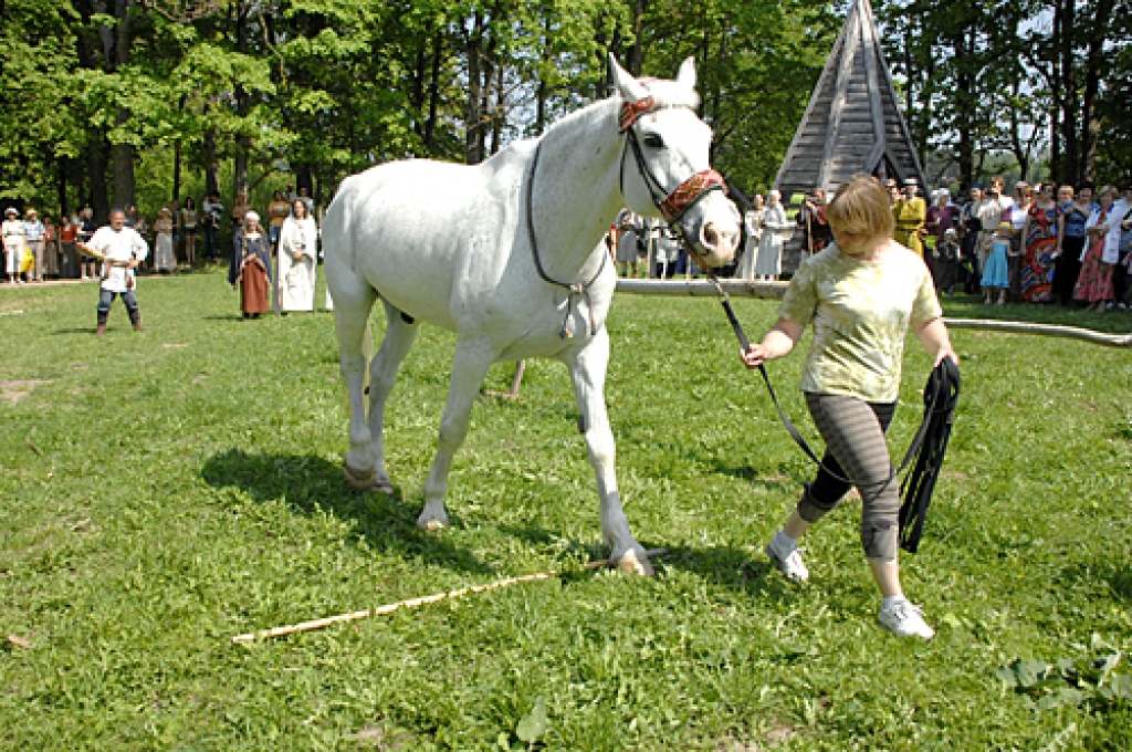 Baltais zirgs Mežotnes pilskalnā šķēpu šķērsoja divreiz ar kreiso kāju, tā ir zīme, ka cilvēkiem turpmāk vairāk jāstrādā ar sevi, pašiem sevi jāpilnveido.
Autors: Ivars Bogdanovs