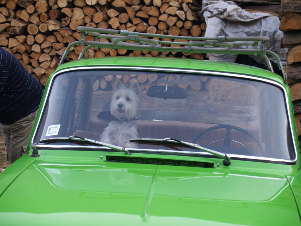 Moskviči, ar kuriem atbrauca seno spēkratu kluba biedri, piesaistīja lielu uzmanību.
Autors: Madara Ērgle