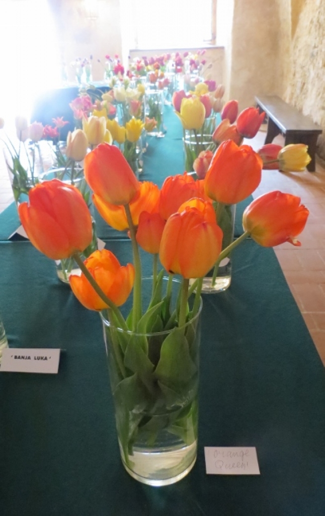 Autors: Publicitātes foto.