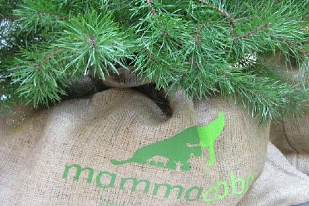 Fotoattēlam ilustratīva nozīme.