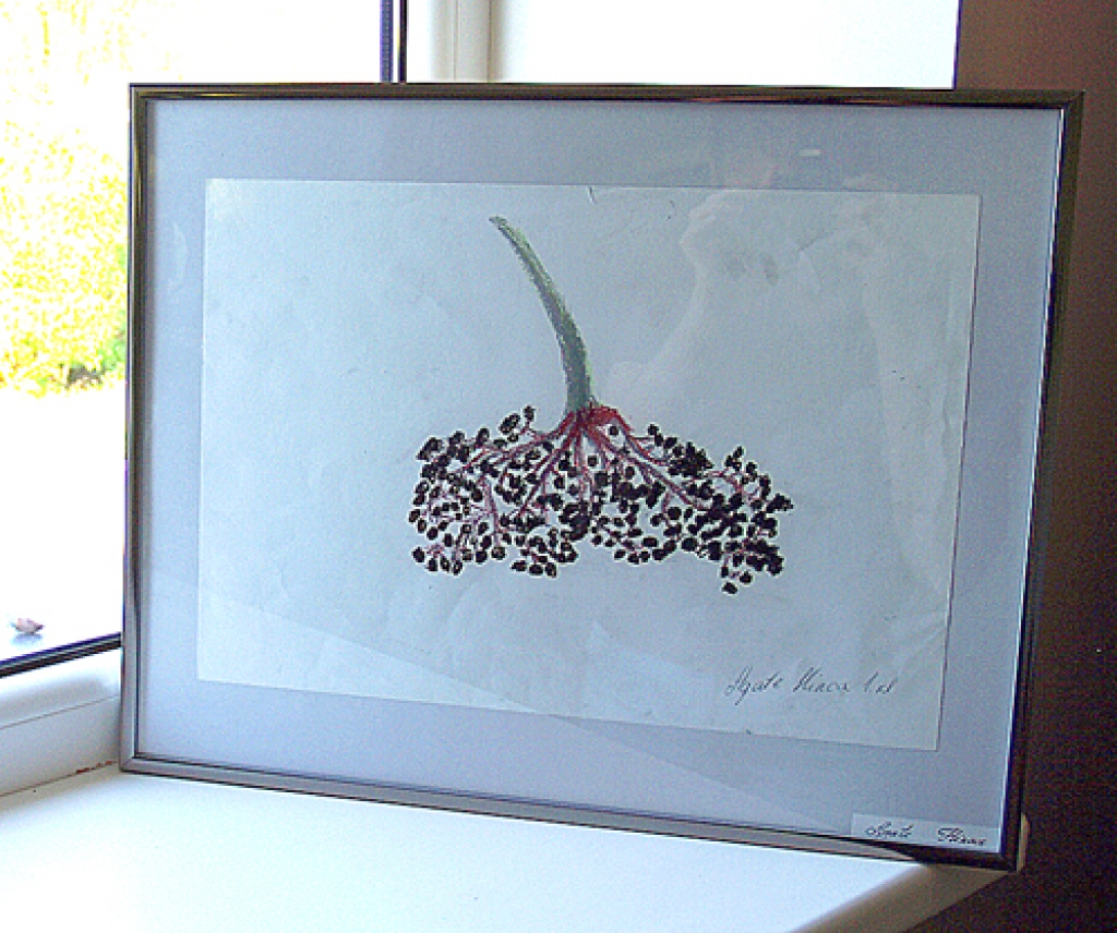 Agates Hincas darbs Zorģu bibliotēkā.
Autors: Antra Ērgle