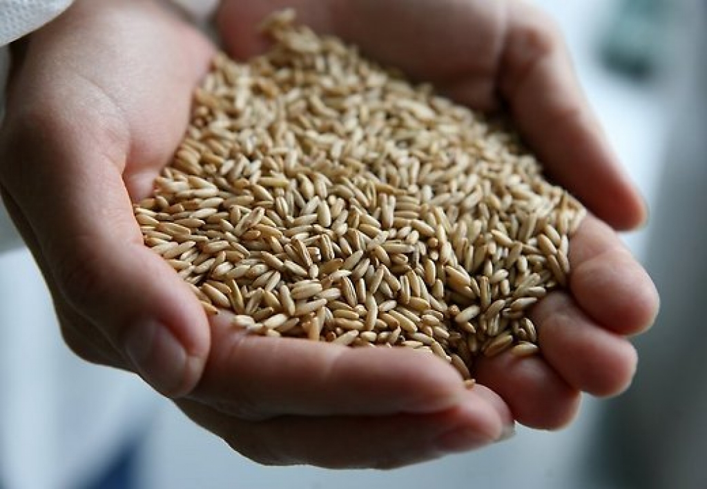 Fotoattēlam ilustratīva nozīme.