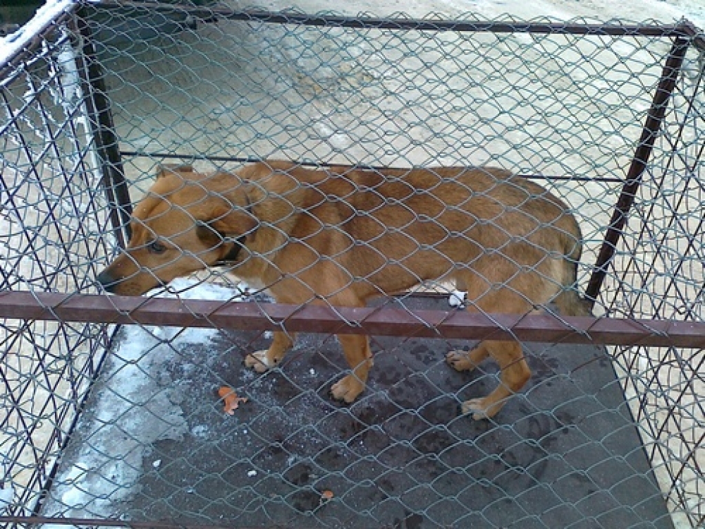 Fotoattēlam ilustratīva nozīme.