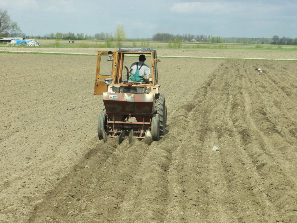 Autors: No «Bauskas Dzīves» arhīva.