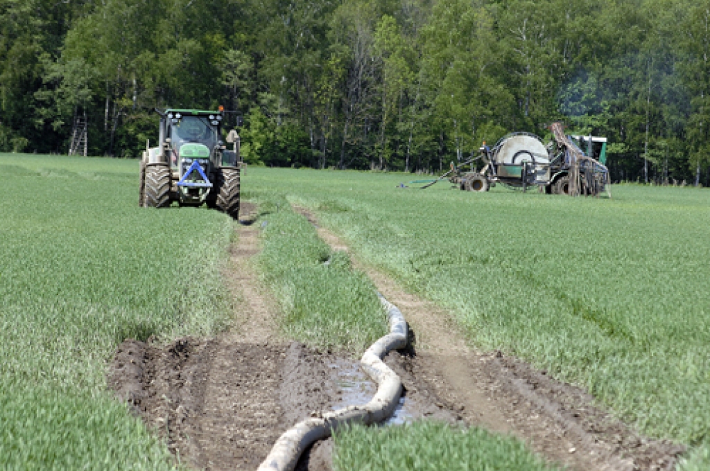 SIA «Gaižēni», izmantojot speciālu tehniku, šķidrmēslojumu pa īpašām šļūtenēm nogādā no tvertnes tieši uz lauka. 