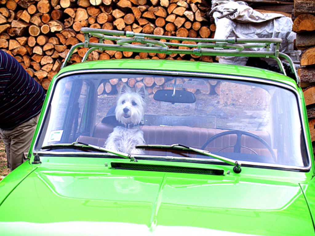 Kur esi tu, mans šoferi? 