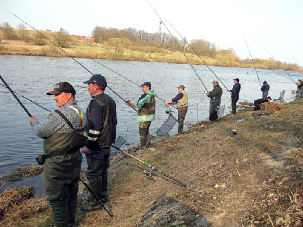 Bagātos lomus šogad deva gan vēlā ledus iziešana, gan arī murdu neesamība Buļļupē, kas bija atļauti līdz             16. aprīlim. Parasti vimbas nāk pirms paliem, un, ja šogad tie būtu agrāk, rūpnieciskā zveja būtu visu krējumu nosmēlusi.