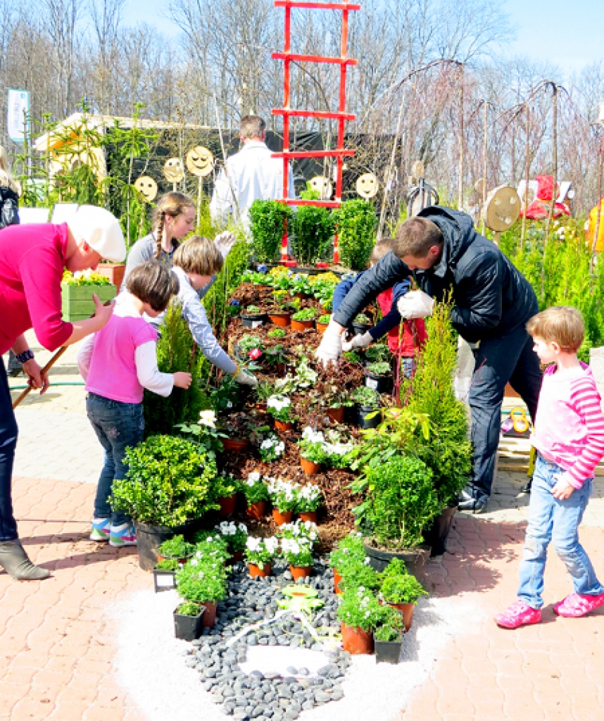 «Skaistākā dārza ideja» – šajā nominācijā Seržānu ģimene ieguva balvu Latvijas Stādu parādē Siguldā rīkotā audžuģimeņu konkursā «Mans sapņu dārzs».
