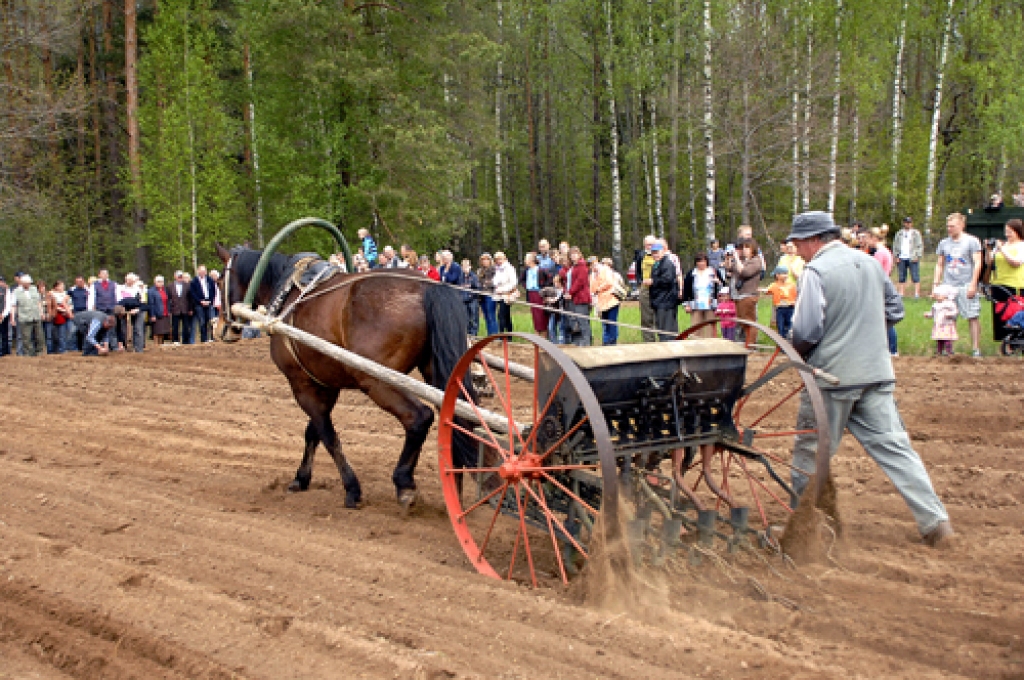 Vēsturiskās zemkopības tehnikas demonstrējumi piesaistīja daudz skatītāju.