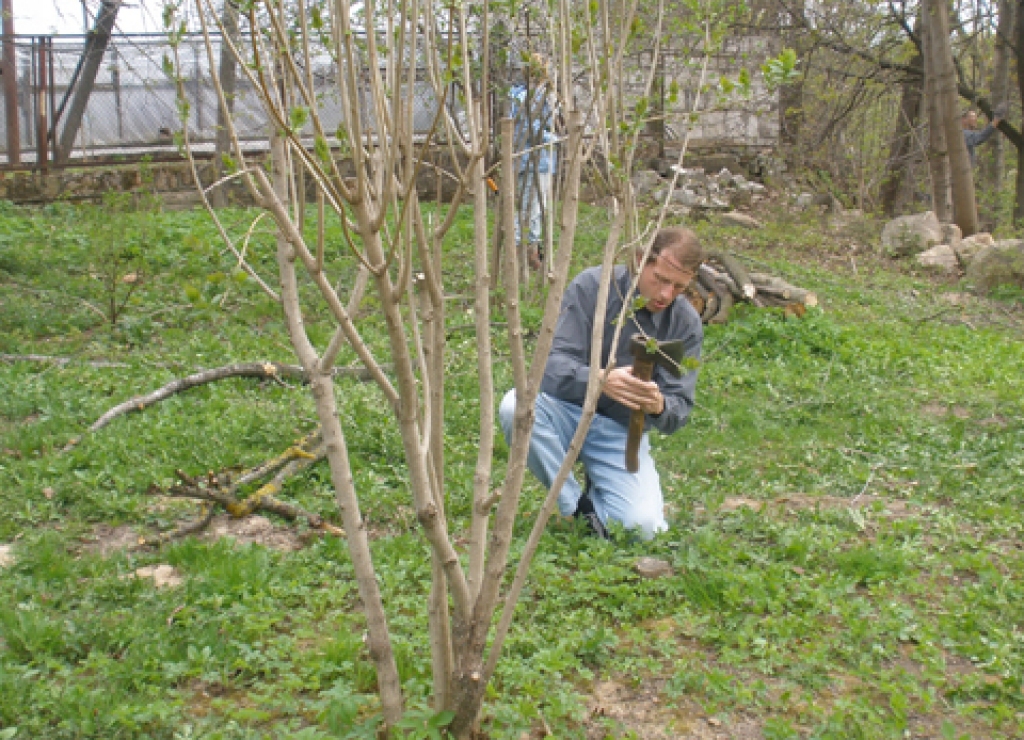 Fotoattēlam ilustratīva nozīme.
Autors: iecava.lv