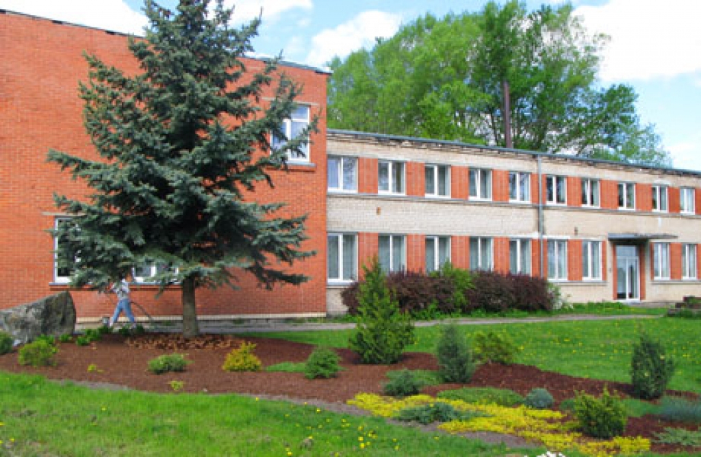 Ozolaines pamatskola svin 20. dzimšanas dienu.