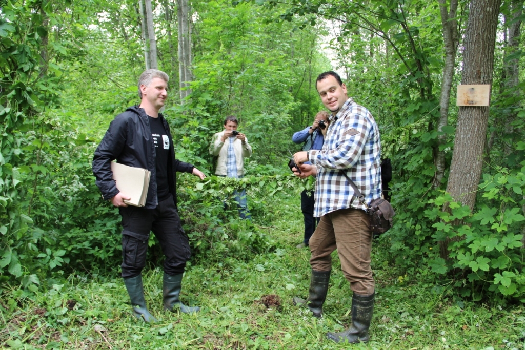 Autors: No «Bauskas Dzīves» arhīva.