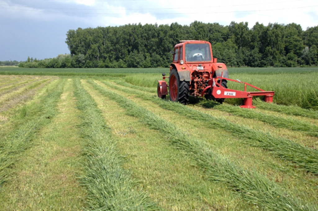Mazākās un lielākās saimniecībās patlaban aktīvi pļauj zāli skābbarībai un siena sagatavošanai.
Autors: Ivars Bogdanovs