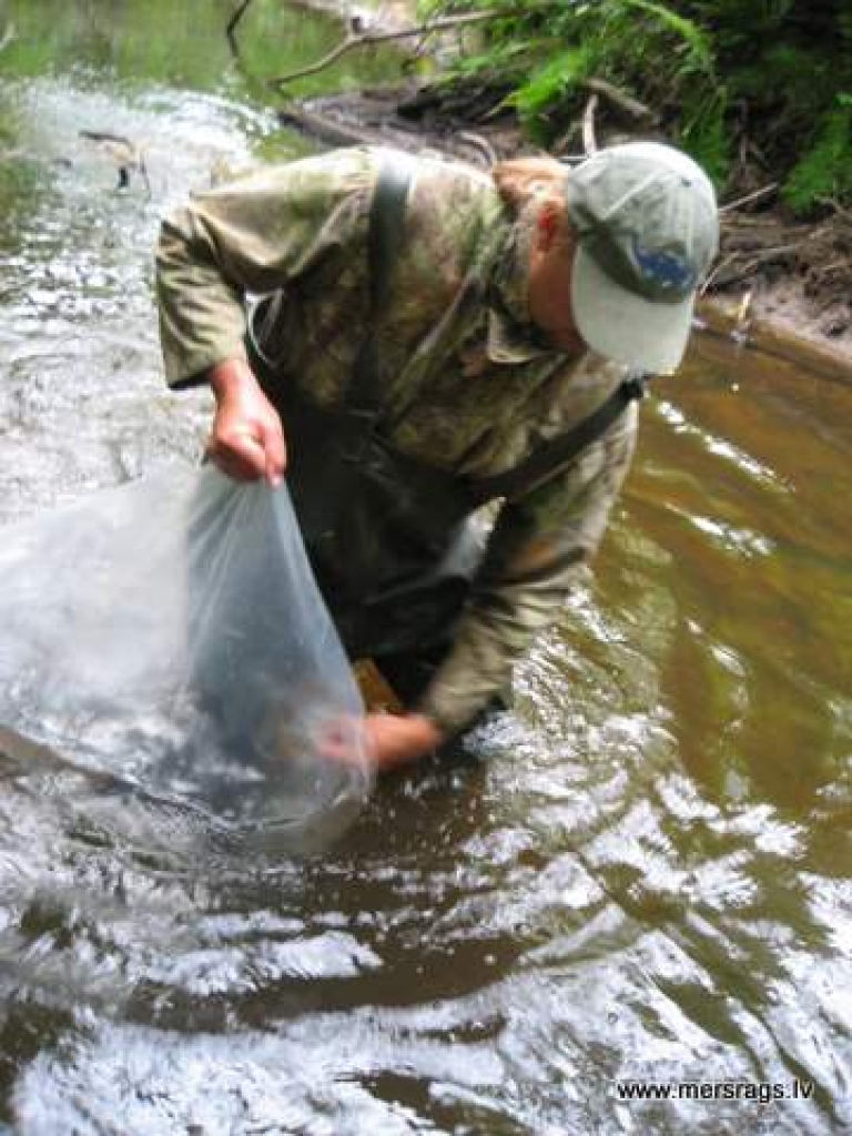 Fotoattēlam ilustratīva nozīme.