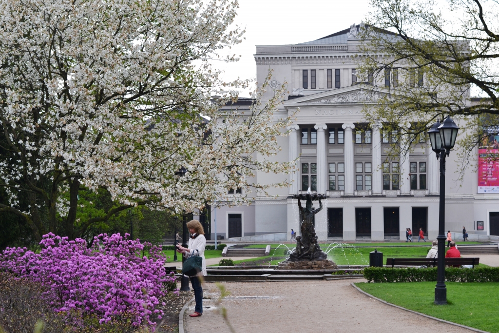 Aluksniesiem.lv raksta attēla aizvietotājs