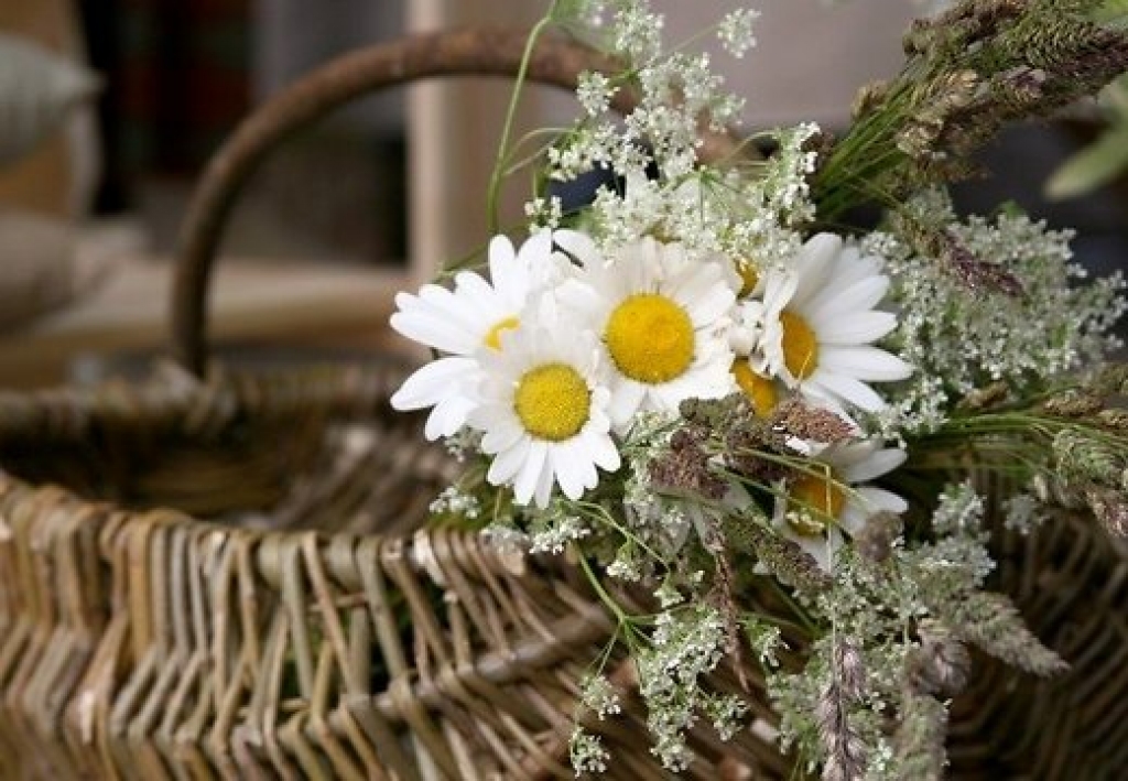 Fotoattēlam ilustratīva nozīme.