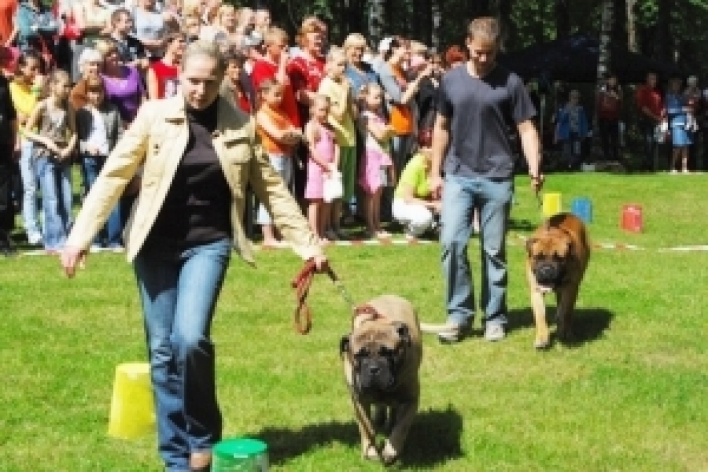 Fotoattēlam ilustratīva nozīme.
Autors: No «Bauskas Dzīves» arhīva.