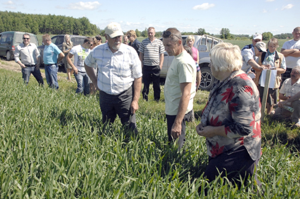 Kviešu laukā mēslošanas īpatnības pārspriež zemnieks Raimonds Kazbuķis (no kreisās), konsultants Raimonds Nagodkins un agronome Daina Lejiņa.