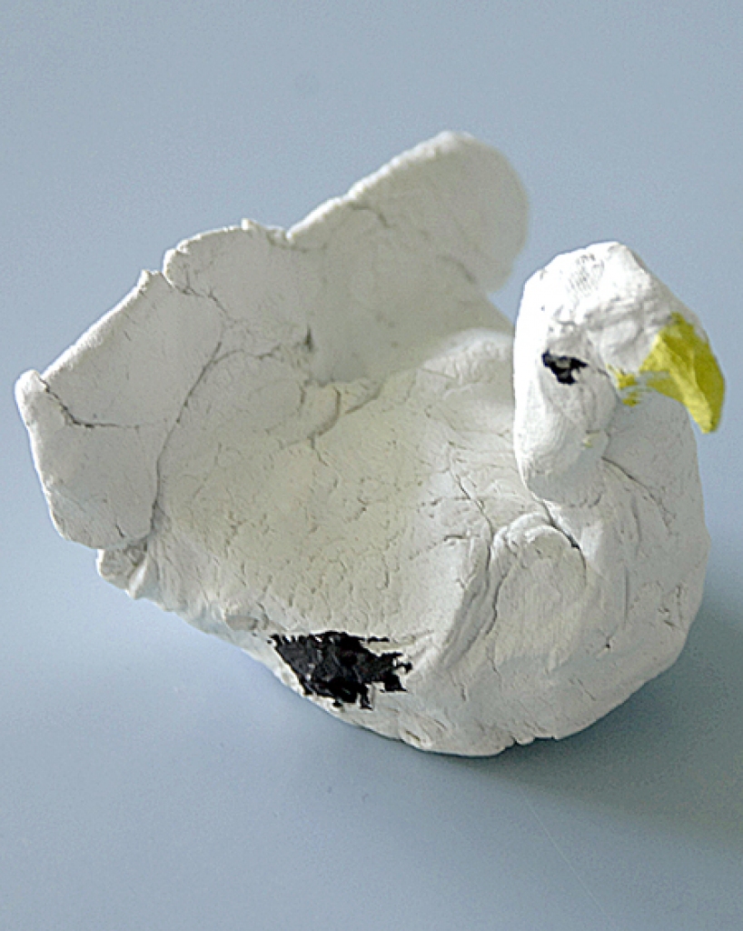 Sonoras Barsukas gulbītis.