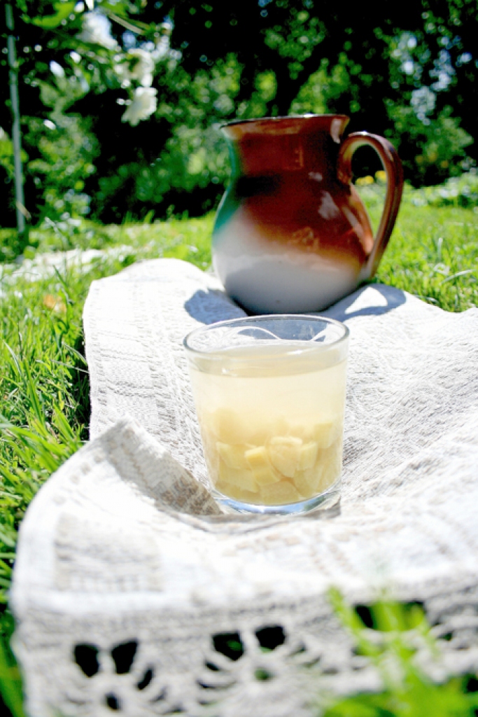 Atsvaidzinošs dzēriens – rabarberu kompots.