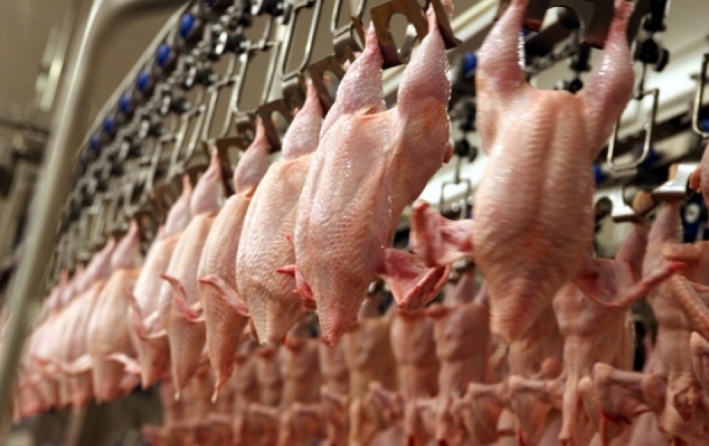 Fotoattēlam ilustratīva nozīme.