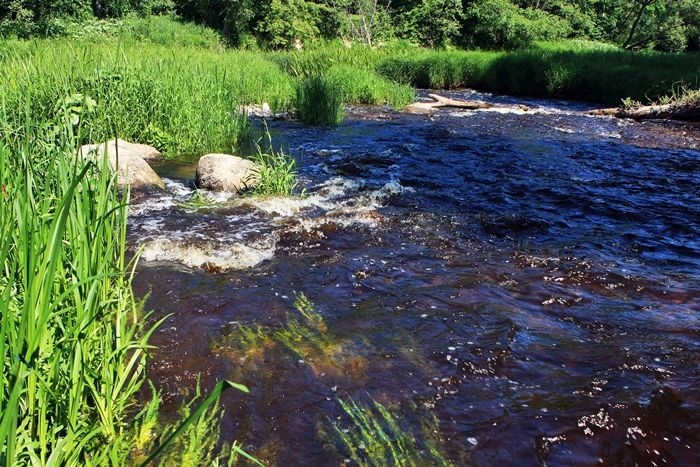 Fotoattēlam ilustratīva nozīme.
Autors: apollo.lv