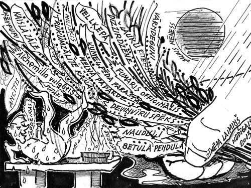 Autors: Laimonis Šulcs