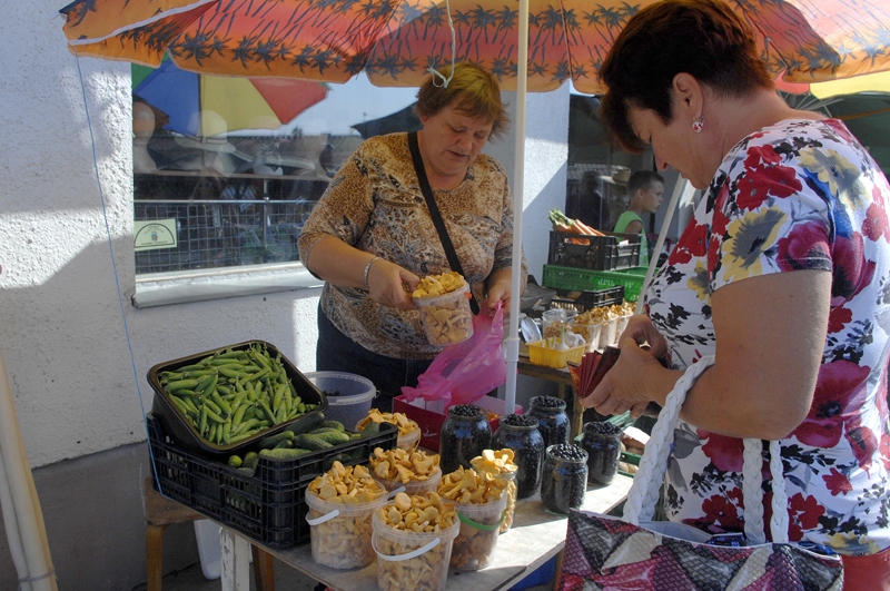 Mellenes un gailenes, salasītas Bārbeles mežos, nu nonāks uz baušķenieku galda. 
Autors: Ivars Bogdanovs
