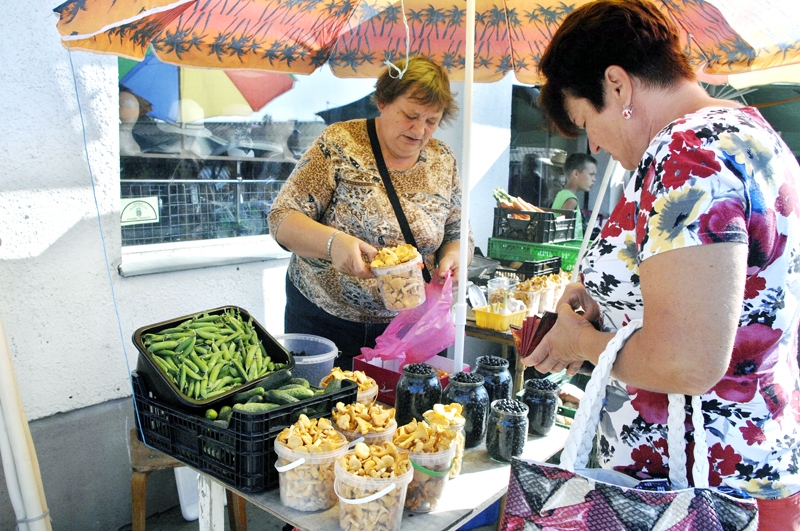 Bārbeles mežos salasītās mellenes un gailenes nu nonāks uz baušķenieku galda.
Autors: Ivars Bogdanovs