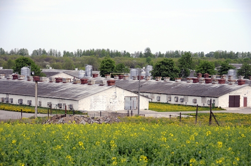 SIA «Lielzeltiņi» plāno iegādāties Lietuvas kompānija «AB Linas Agro Group».
Autors: Foto no «Bauskas Dzīves» arhīva.