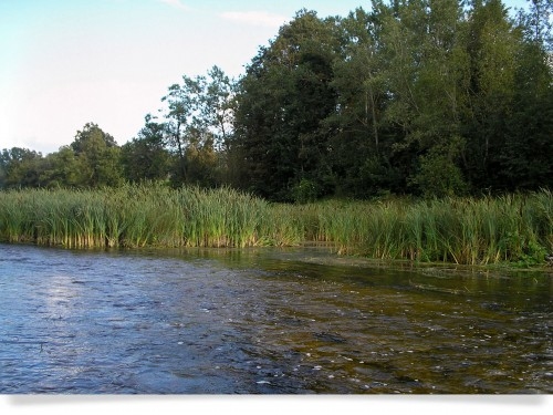 Fotoattēlam ilustratīva nozīme.