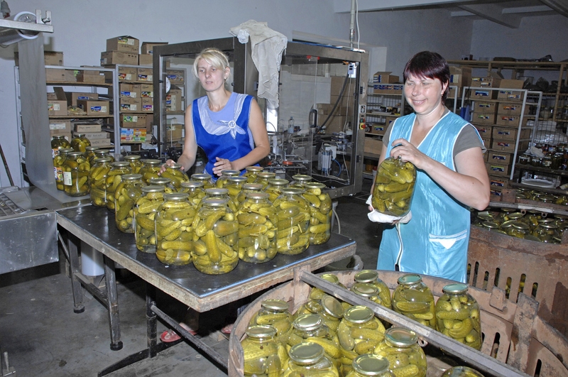 SIA «Kronis» strādniece Ilvija Līruma (no kreisās) un Tatjana Zemļanska sākušas gurķu pārstrādes sezonu. 
Autors: Ivars Bogdanovs
