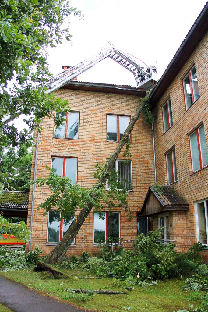 Autors: Artūrs Enkurs