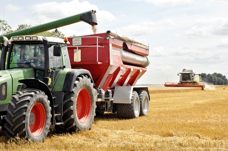 SIA «Uzvara-Lauks» labību kult sāka pagājušajā nedēļā. Tiek izmantots katrs brīdis bez lietus.
Autors: Foto – Ivars Bogdanovs