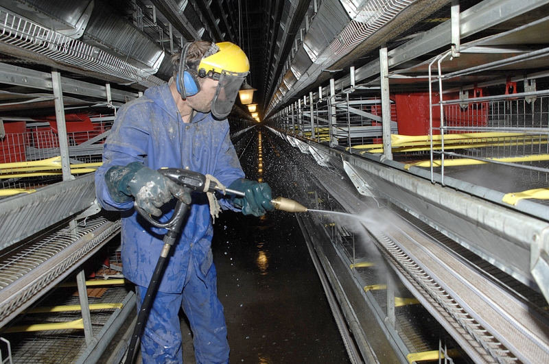 «BPS» strādnieki putnus no daudzstāvu novietnes izvāc, kad beidzas vistu produktīvās dzīves periods. Tad visa ēka tiek rūpīgi iztīrīta un dezinficēta. Pēc tam šeit ievietos jaunās dējējas.
Autors: Foto – Ivars Bogdanovs