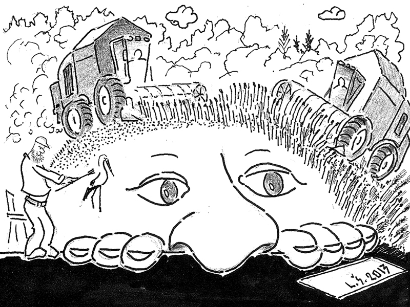 Laimoņa Šulca zīmējums.