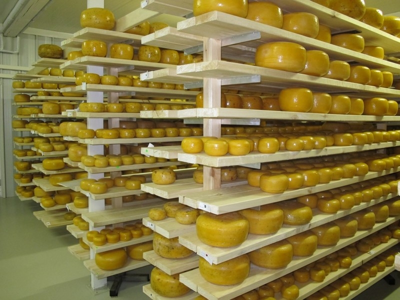 Piena, līdz ar to arī tā produktu - siera, biezpiena u. c. cenas turpina kāpt.
Autors: no dabasbode.lv