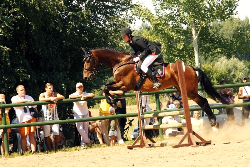 Liena Sproģe ar zirgu Vinalds pārvar 80 centimetrus augstu šķērsli.
Autors: Uldis Varnevičs
