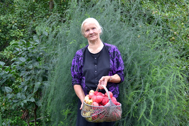 Anna Misēviča-Lisēviča pēc iespējas vairāk cenšas uzturēties ārā, nodarbojoties ar fiziskām aktivitātēm, piemēram, vācot dabas veltes.
Autors: Kristaps Ābelnieks