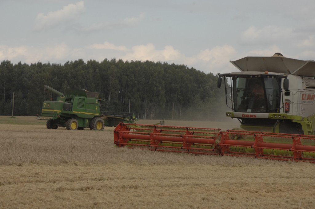 Autors: No «Bauskas Dzīves» arhīva.